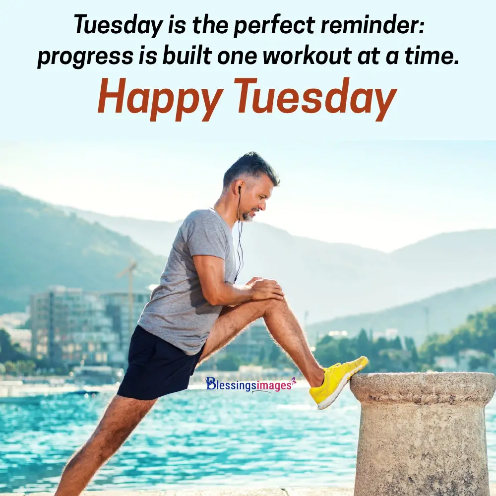 Tuesday Vibes