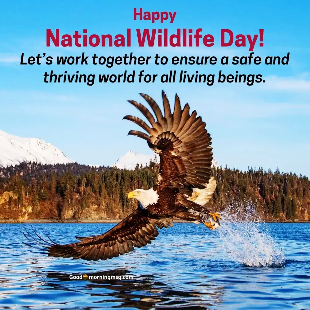 Wild Life Day