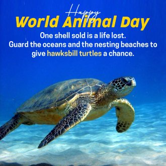 Creative Poster World Animal Day 2025 With Quotes And Images