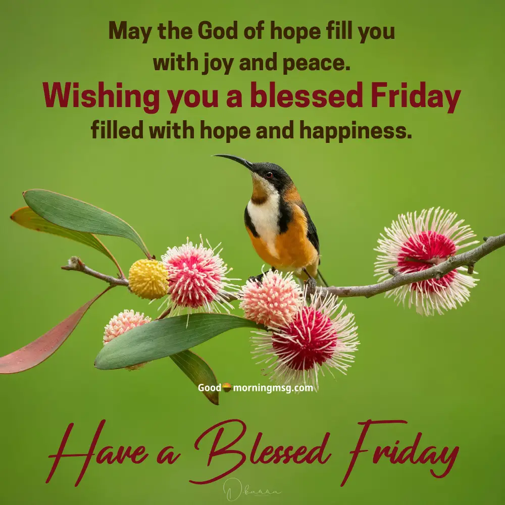 Friday Blessings