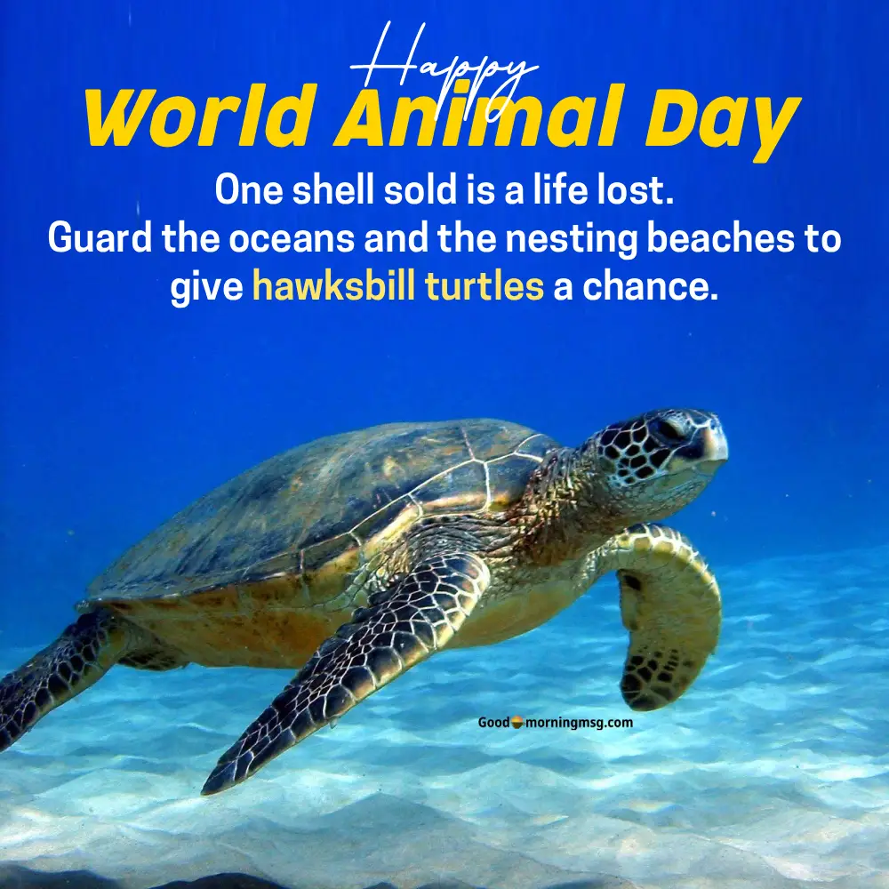 Happy World Animal Day