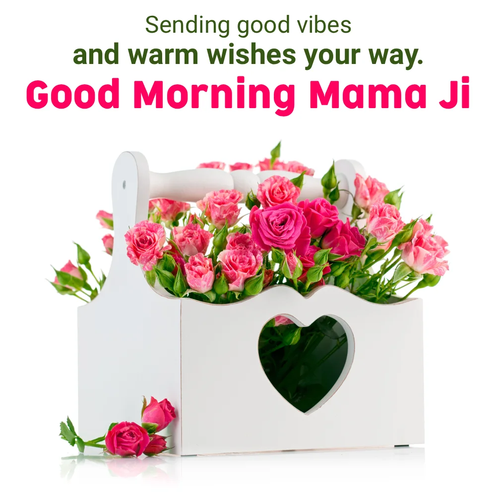 Mama Ke Liye Good Morning Message