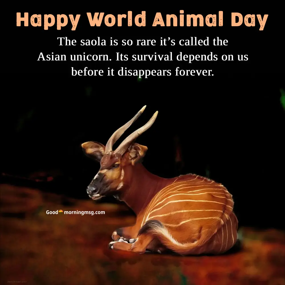 National Animal Day