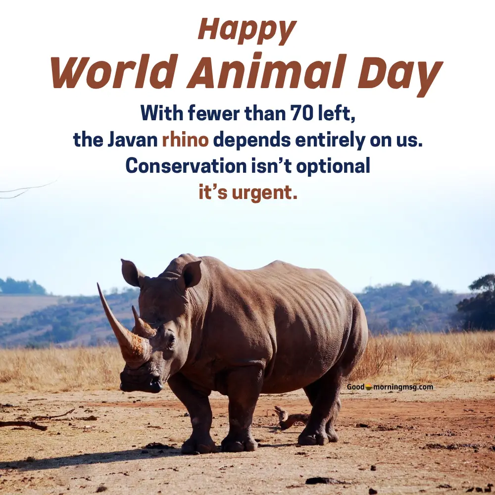 October 4 World Animal Day