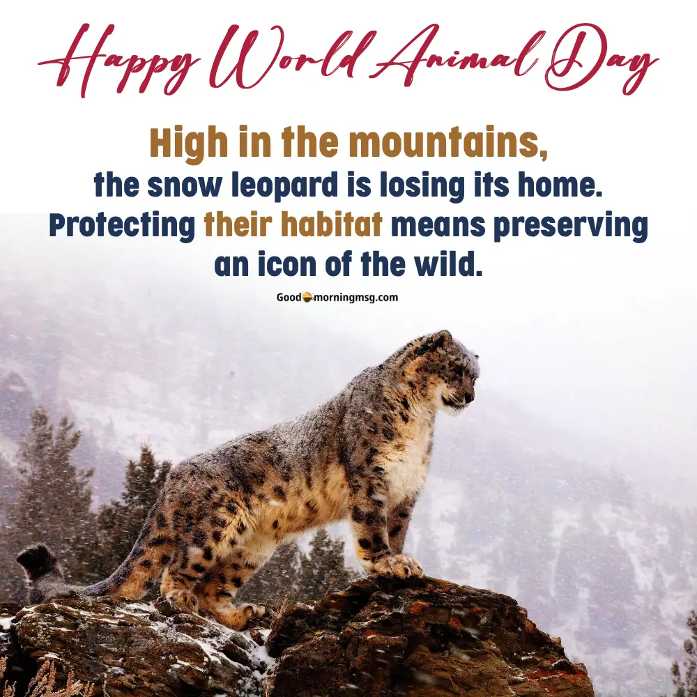 Poster World Animal Day