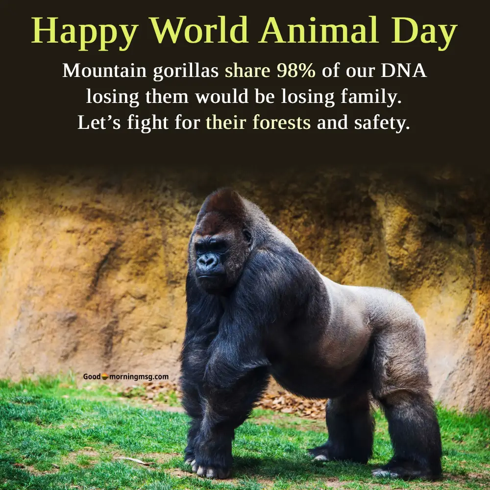 World Animal Day Quotes