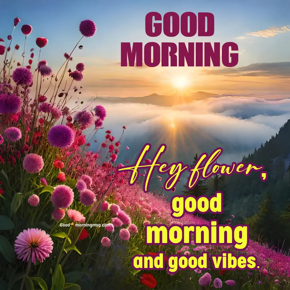 Beautiful Good Morning