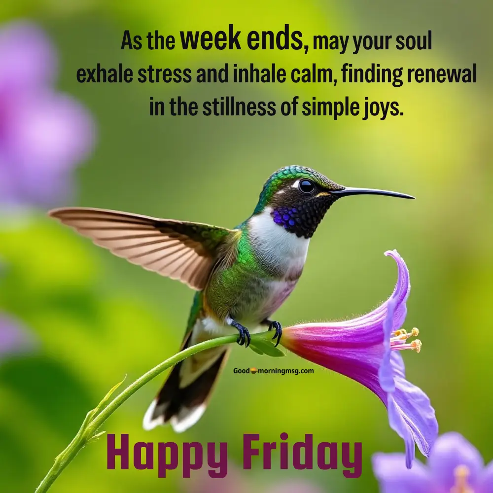 Friday Good Morning Greetings And Blessings Images And Quotes