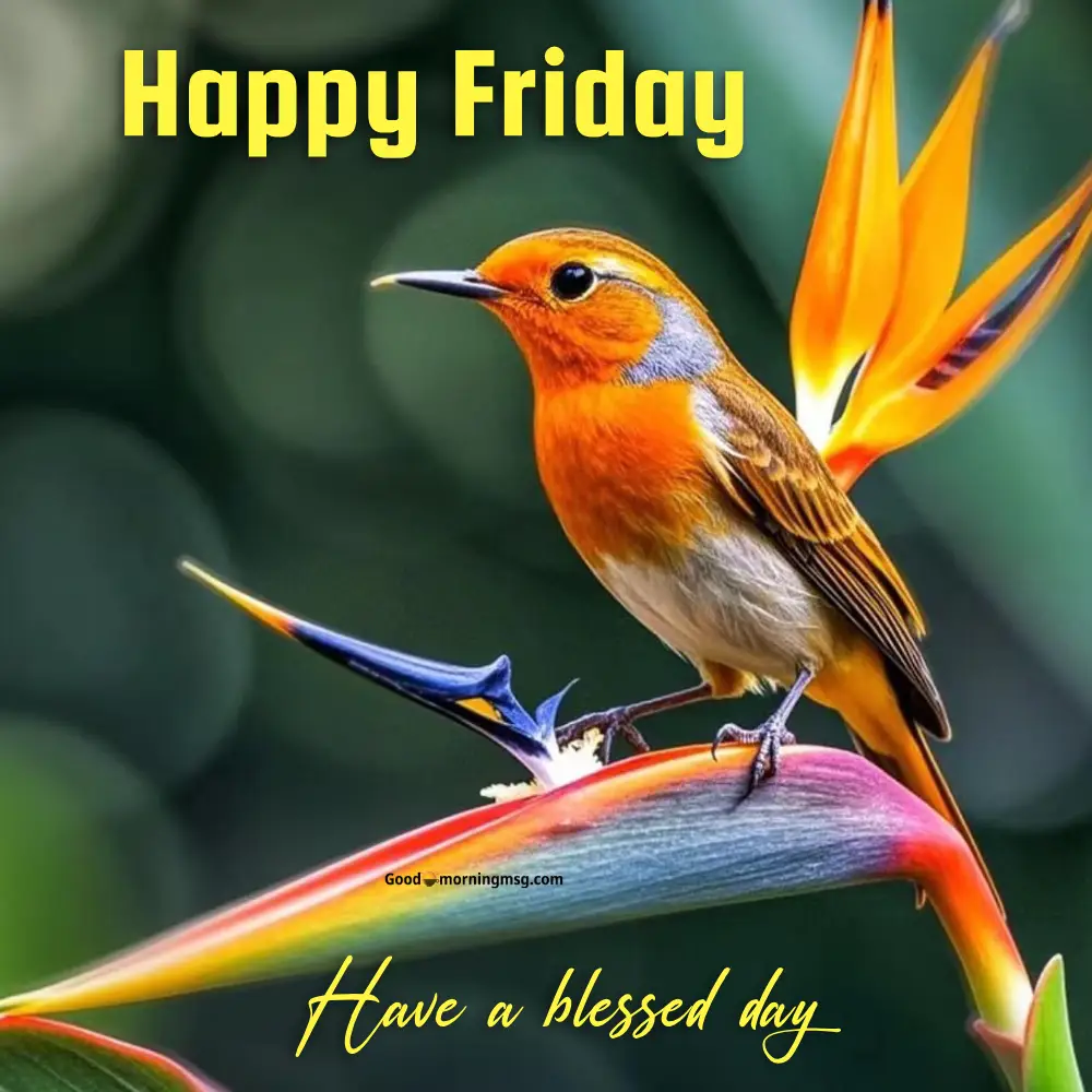 Friday Morning Blessings Images