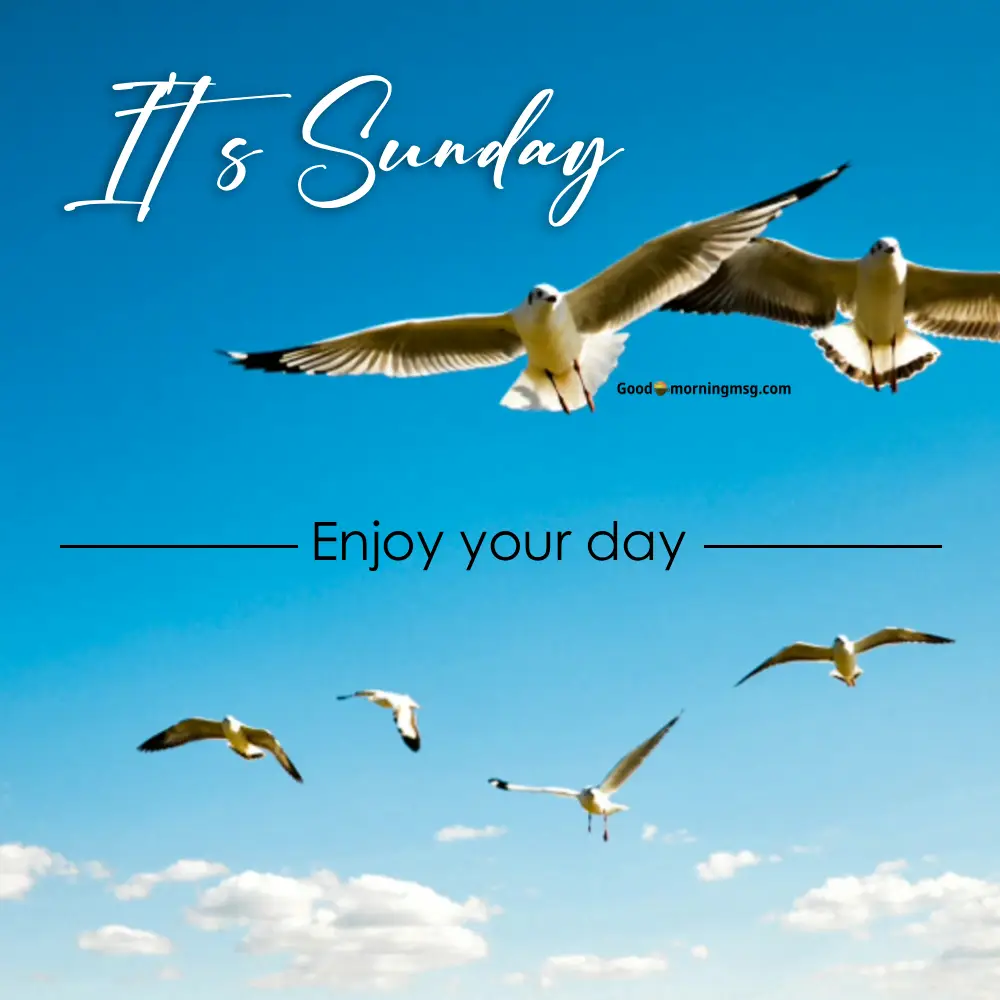 Good Morning Happy Sunday Sunrise Images