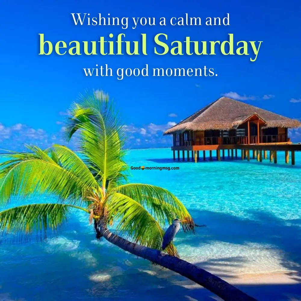 Good Morning Saturday Images For Whatsapp