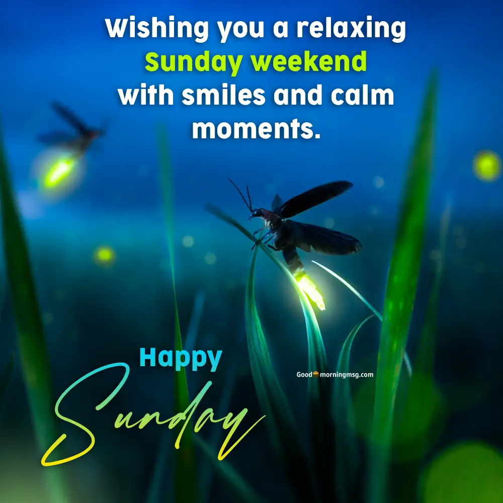 Special Beautiful Good Morning Sunday