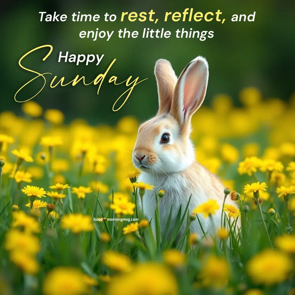 Sunday Good Morning Wishes