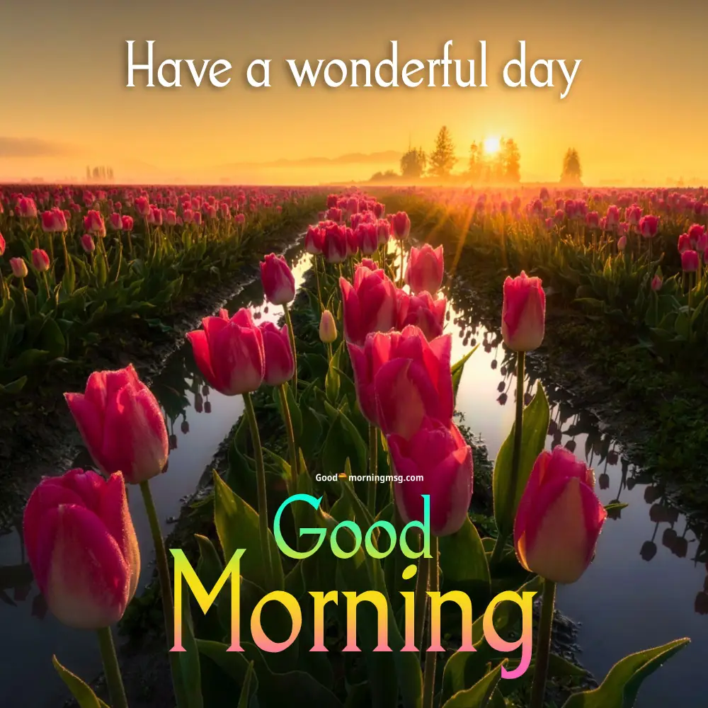 Romantic Good Morning Beautiful