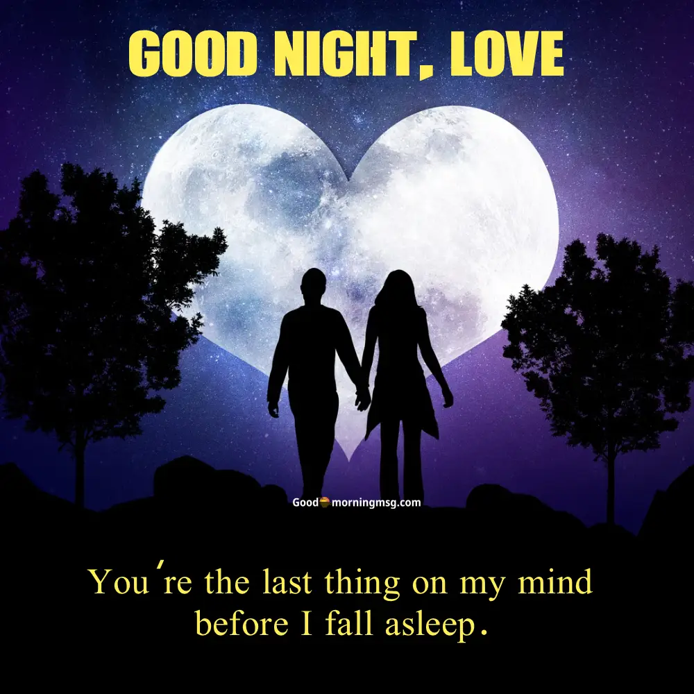 Flower Beautiful Good Night Image