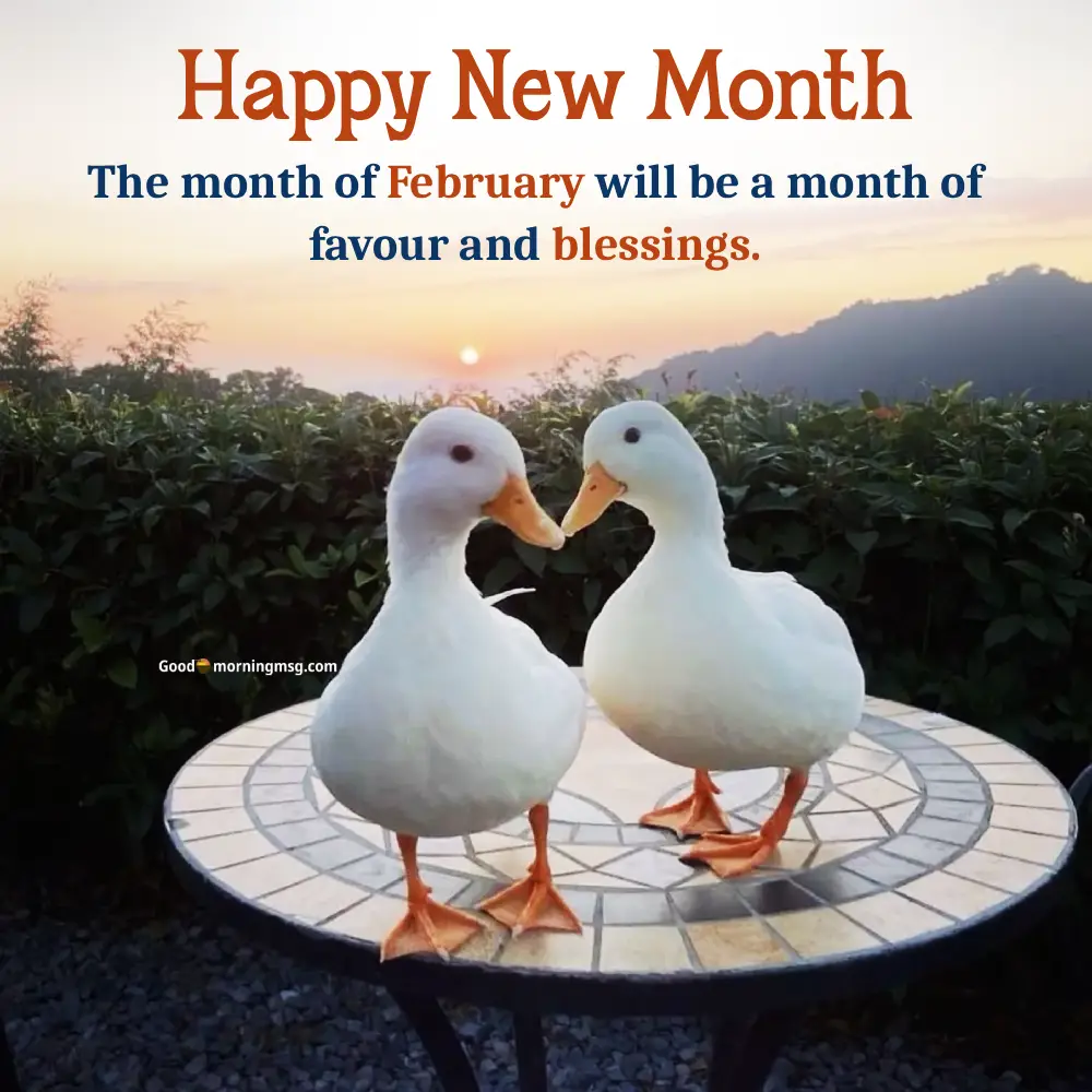 Happy New Month February My Love