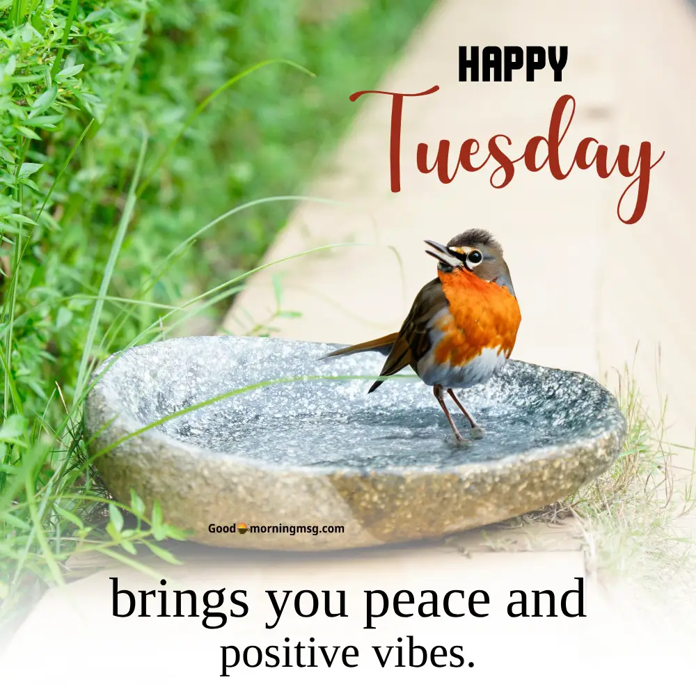 Blessings Good Morning Tuesday