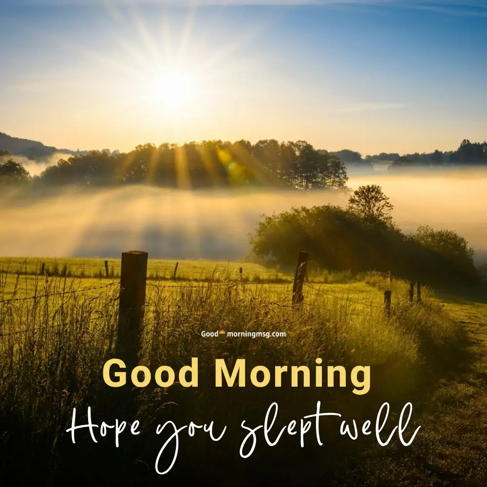 Good Morning Images For Whatsapp