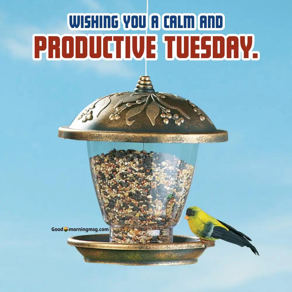 Good Morning Images Tuesday