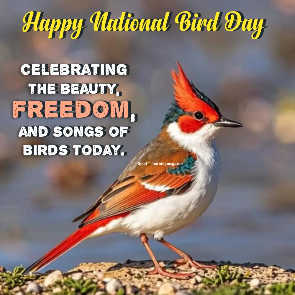 Happy National Bird Day
