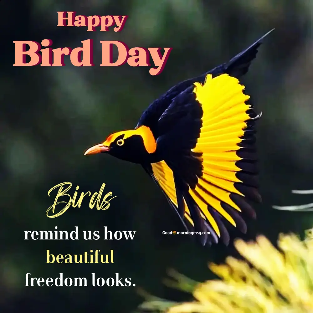 Inspiring Bird Quotes