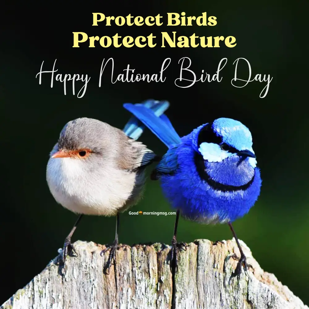 National Bird Day Images