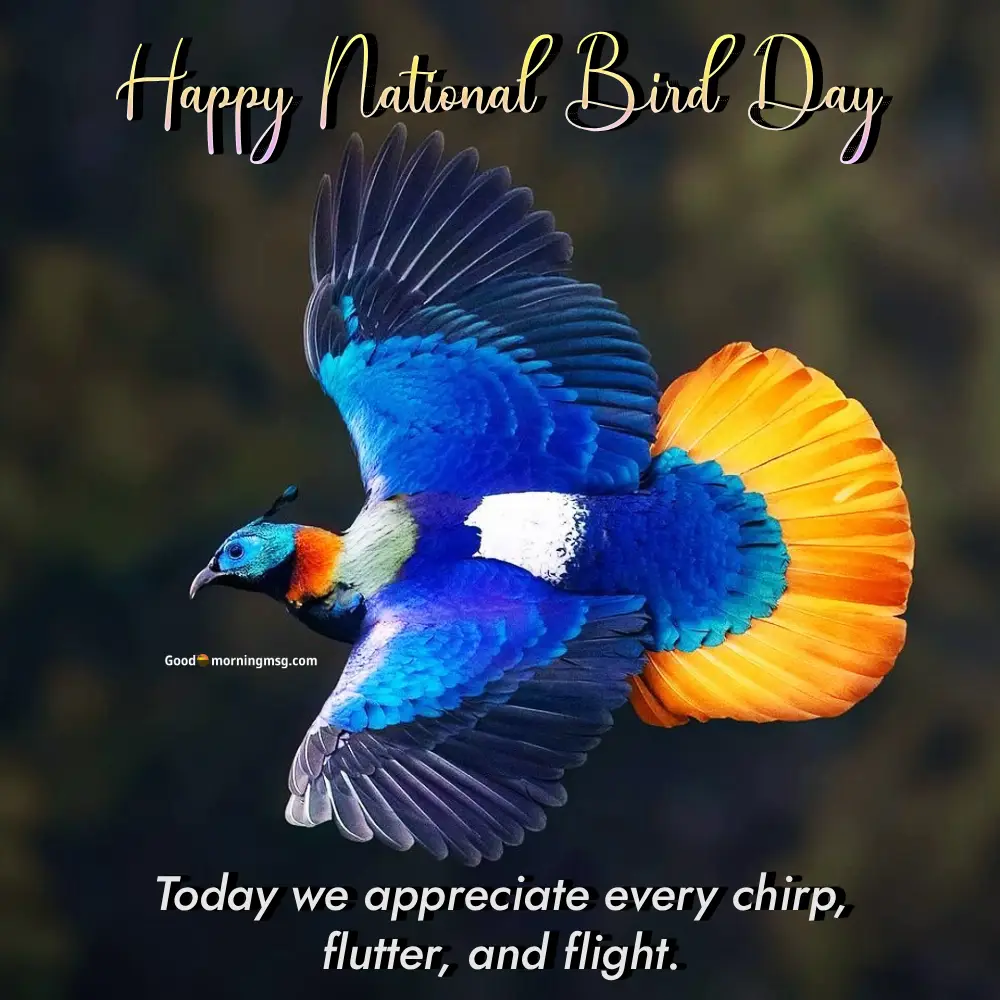 National Bird Day Poster