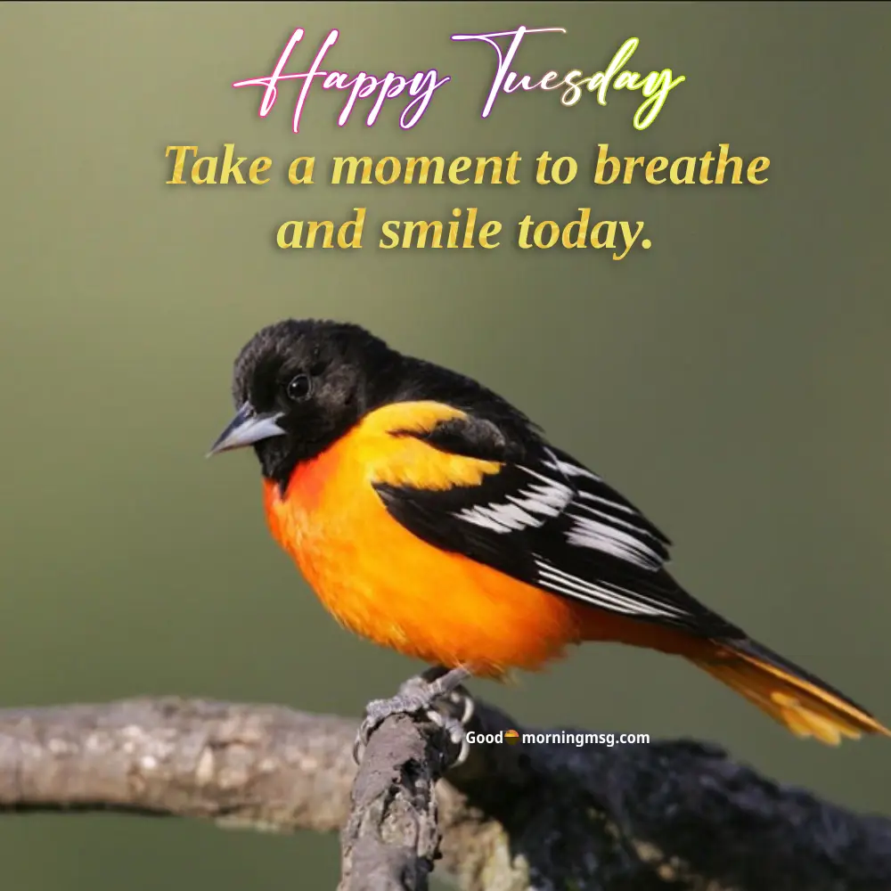 Tuesday Blessings