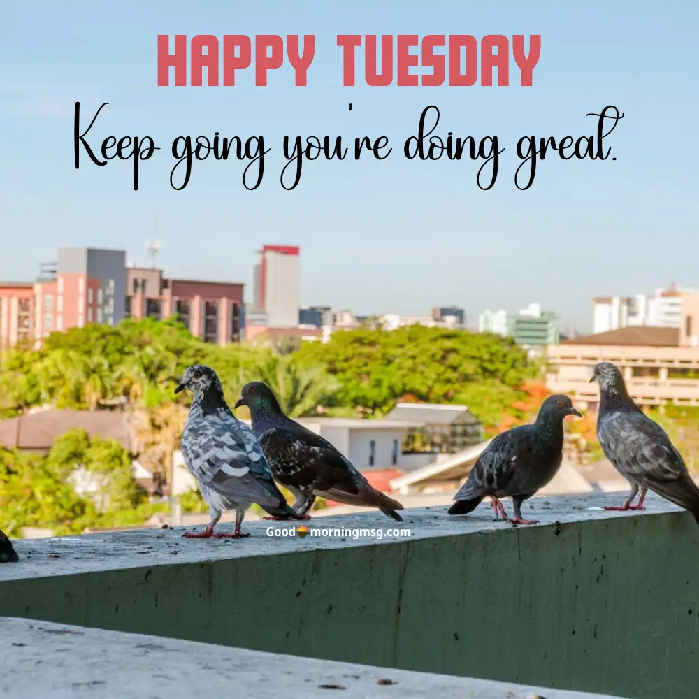 Tuesday Morning Greetings And Blessings