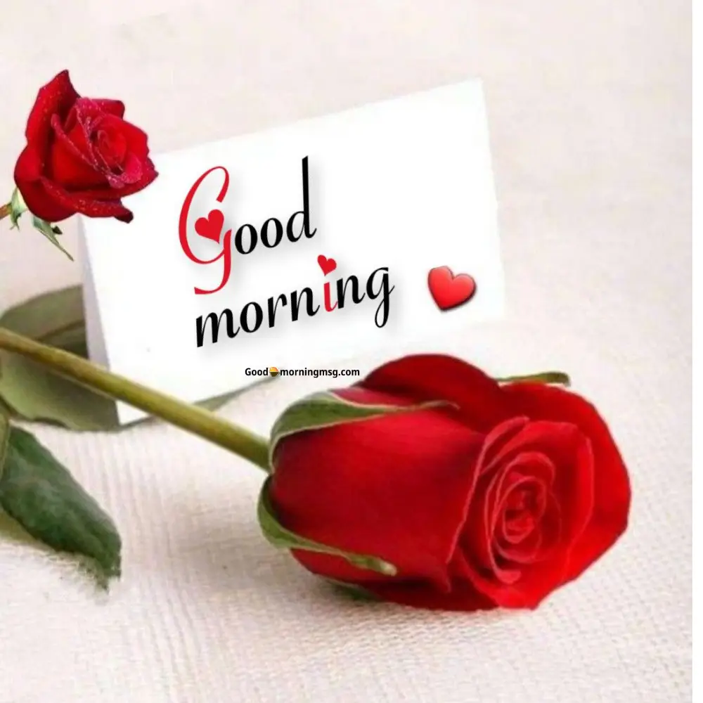 Happy Good Morning Cute Images