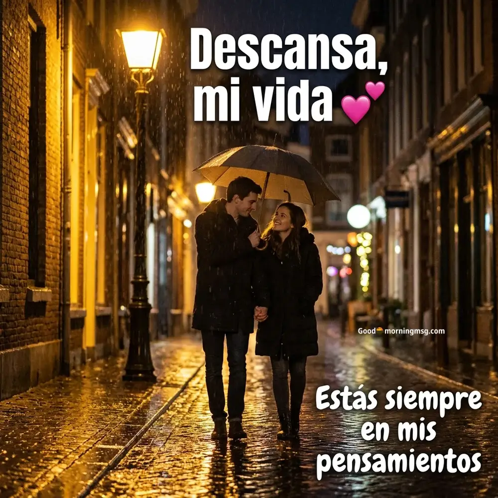 Bellas Buenas Noches Nuevas