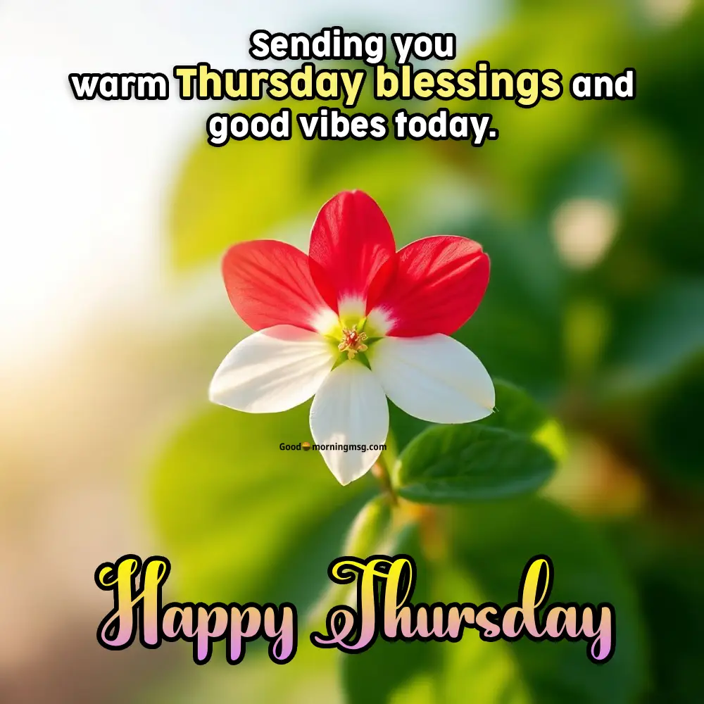 Cute Wednesday Good Morning Images