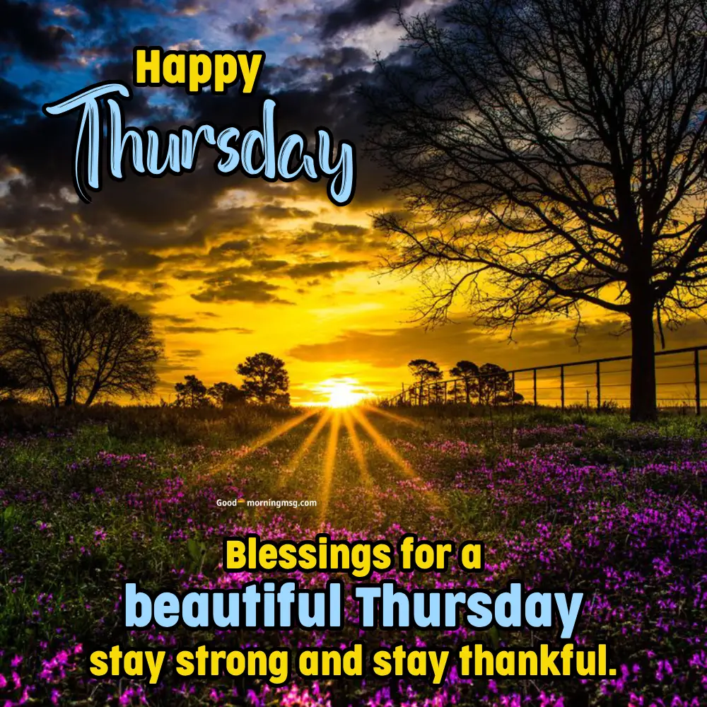 Good Morning Happy Wednesday My Love