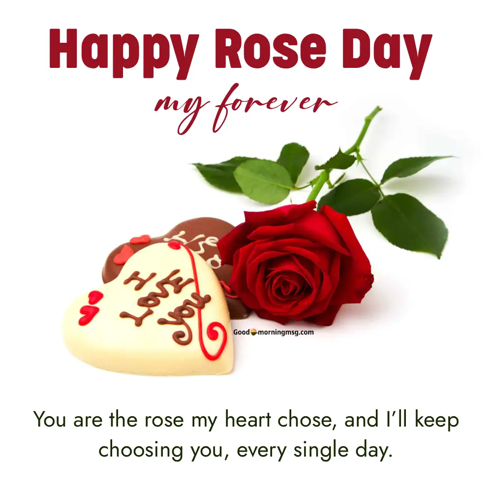 Happy Rose Day Quotes