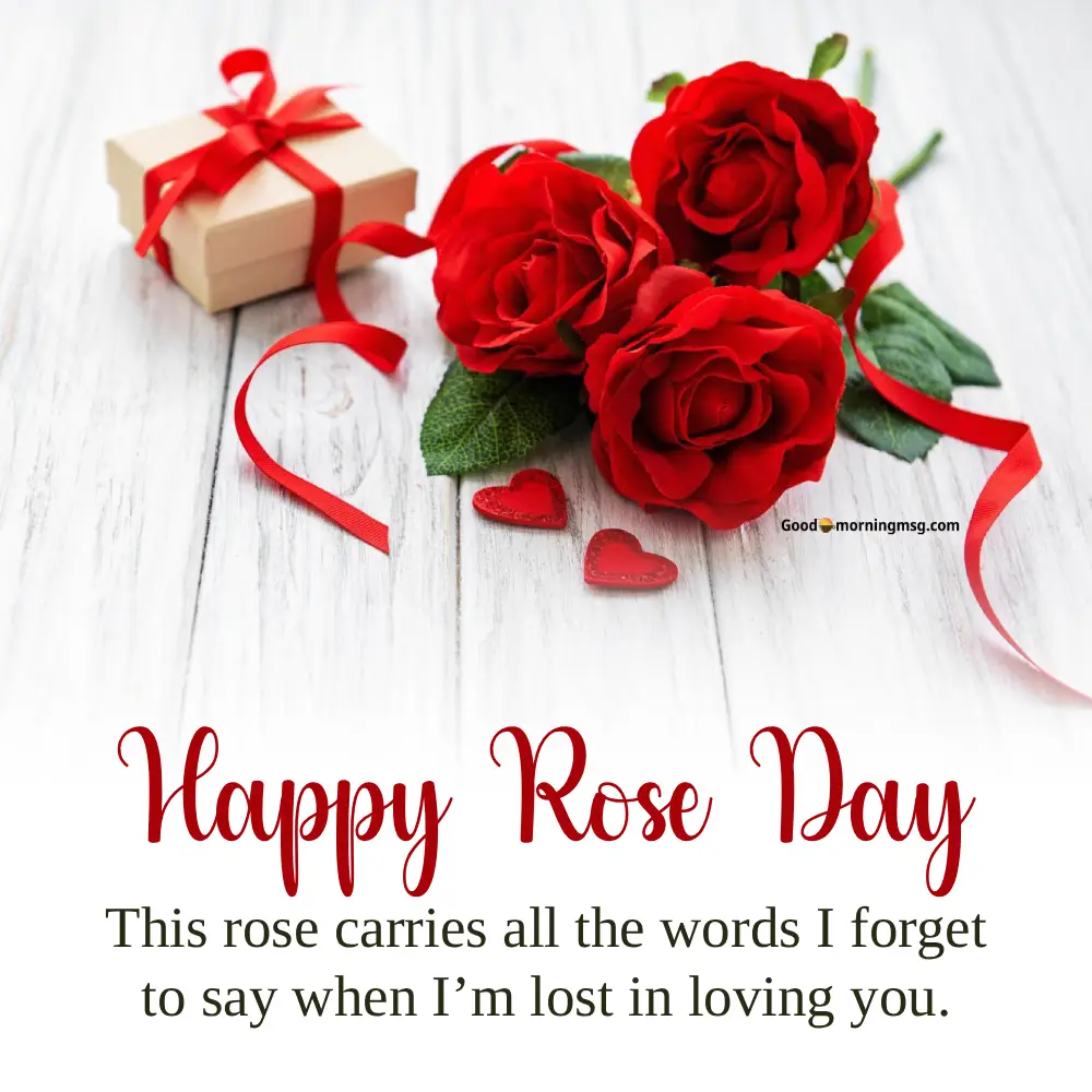 Happy Valentine Day With Rose
