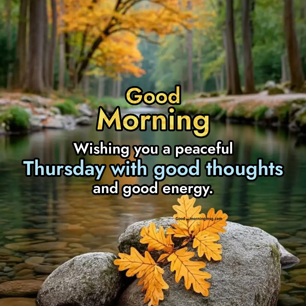 Happy Wednesday Morning