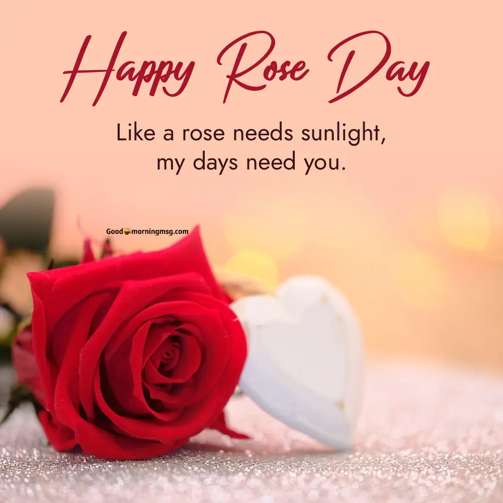 Love Rose Day Images