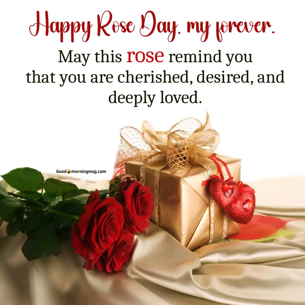 Romantic Couple Rose Day Images