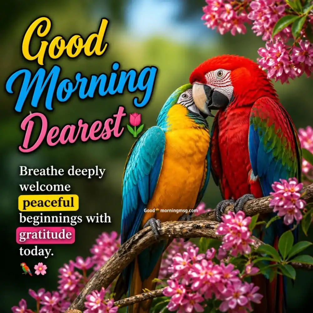 Romantic Hug Bed Good Morning Love Kiss