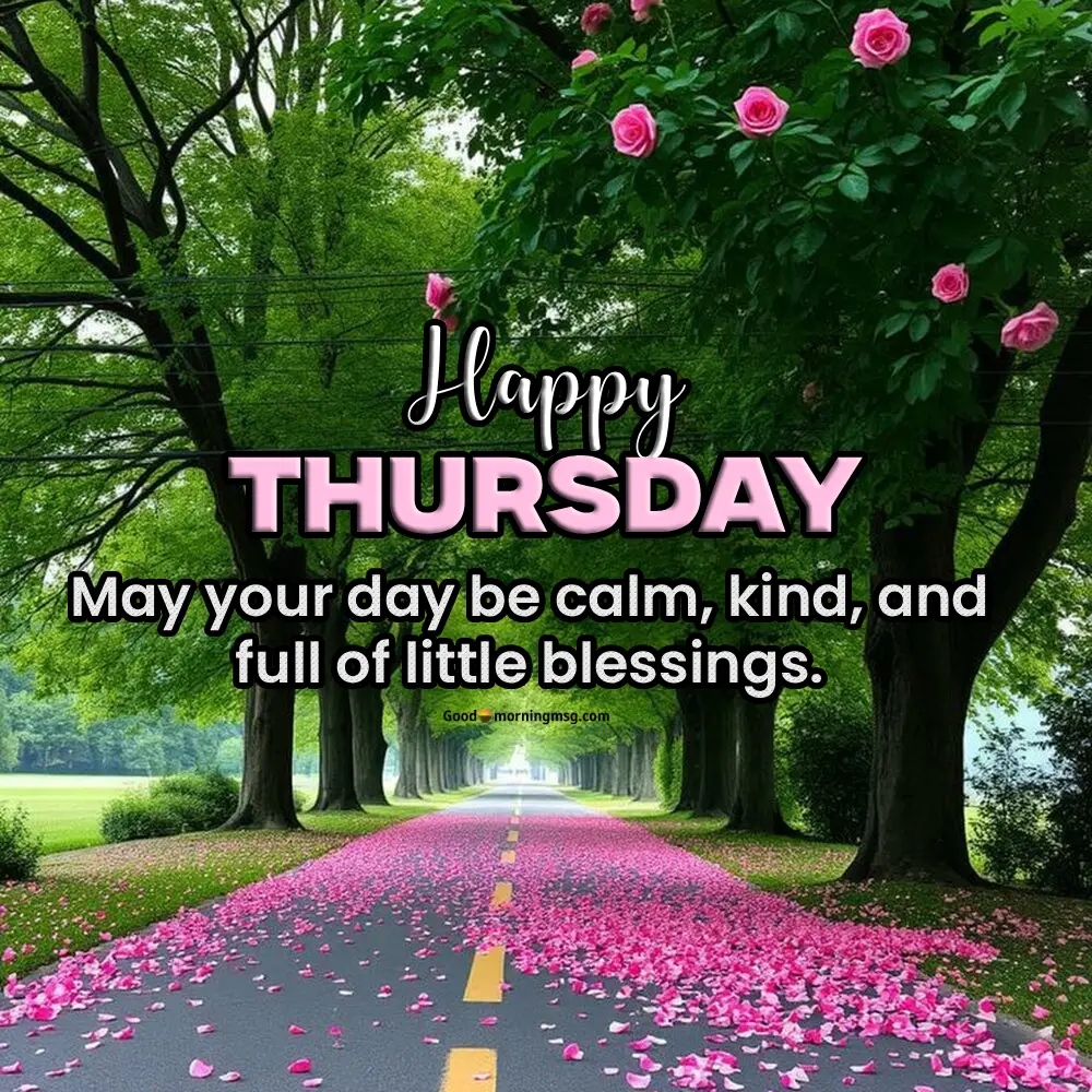 Wednesday Morning Greetings