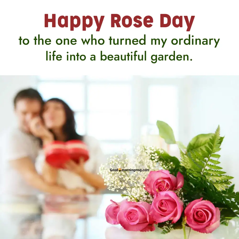 Wife Husband Romantic Rose Day Images