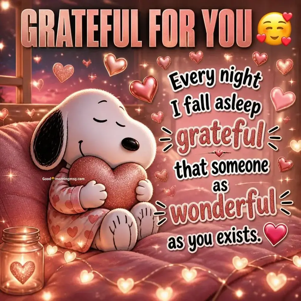 Good Night Snoopy Love
