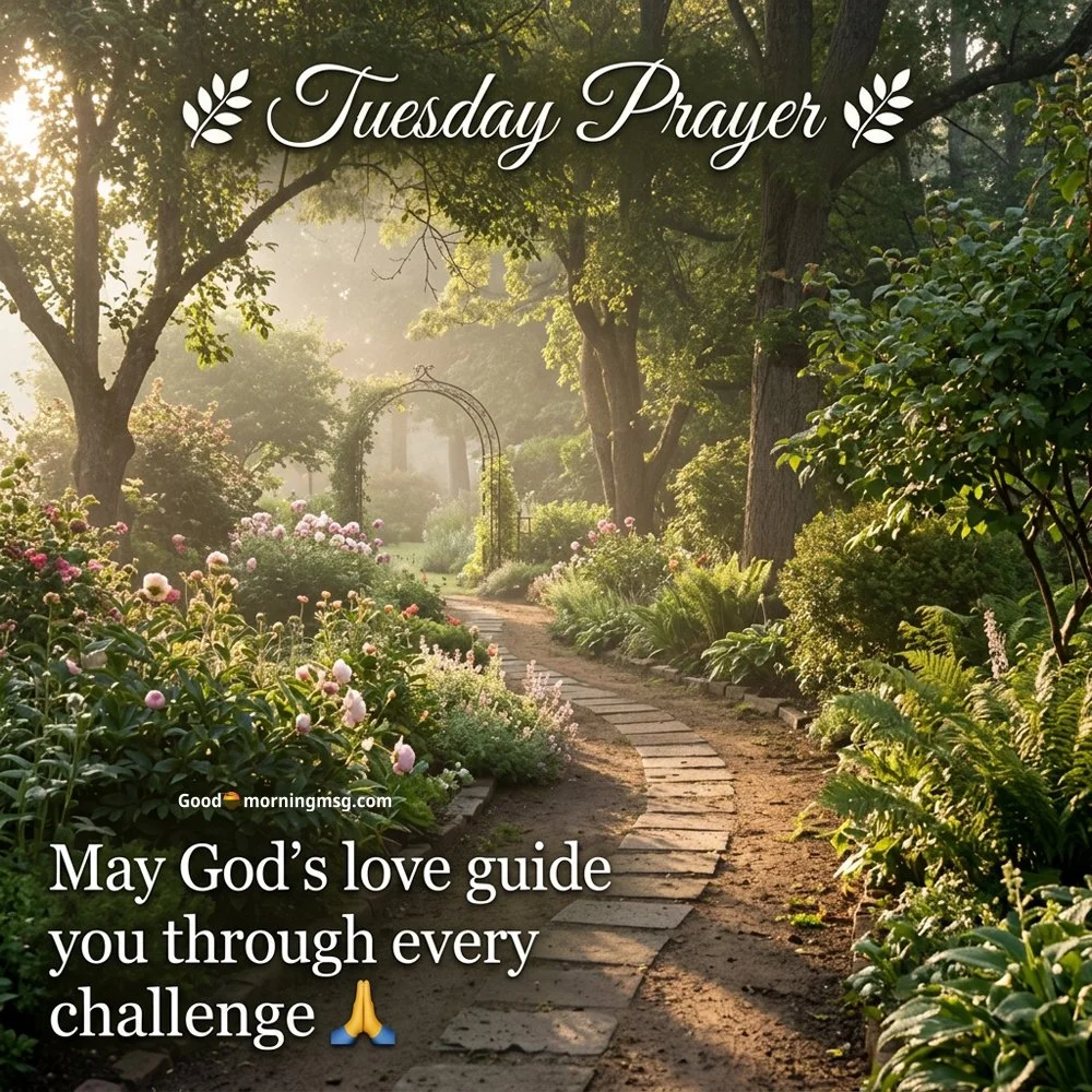 Inspirational Happy Tuesday Good Morning