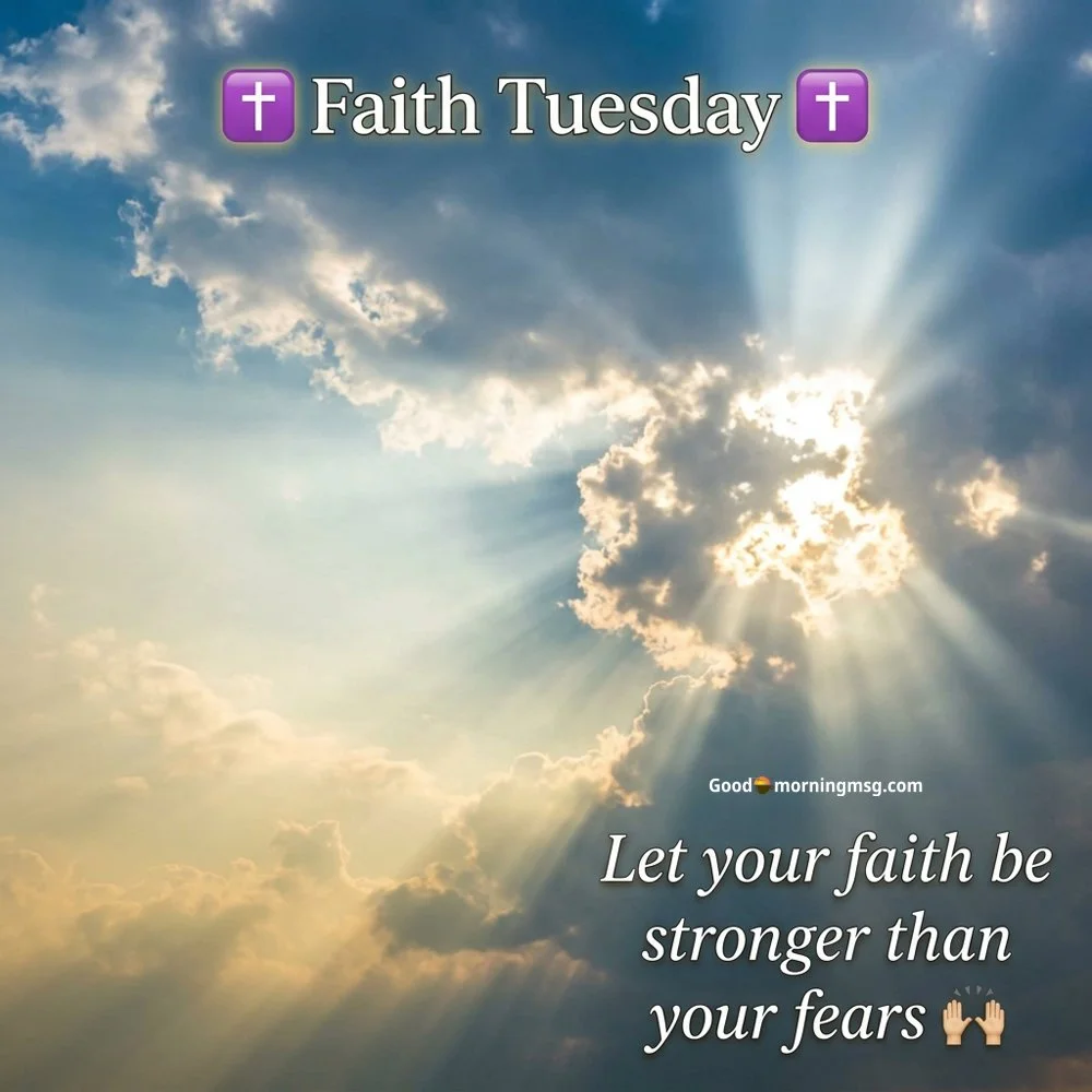 Sunrise Good Morning Tuesday Nature