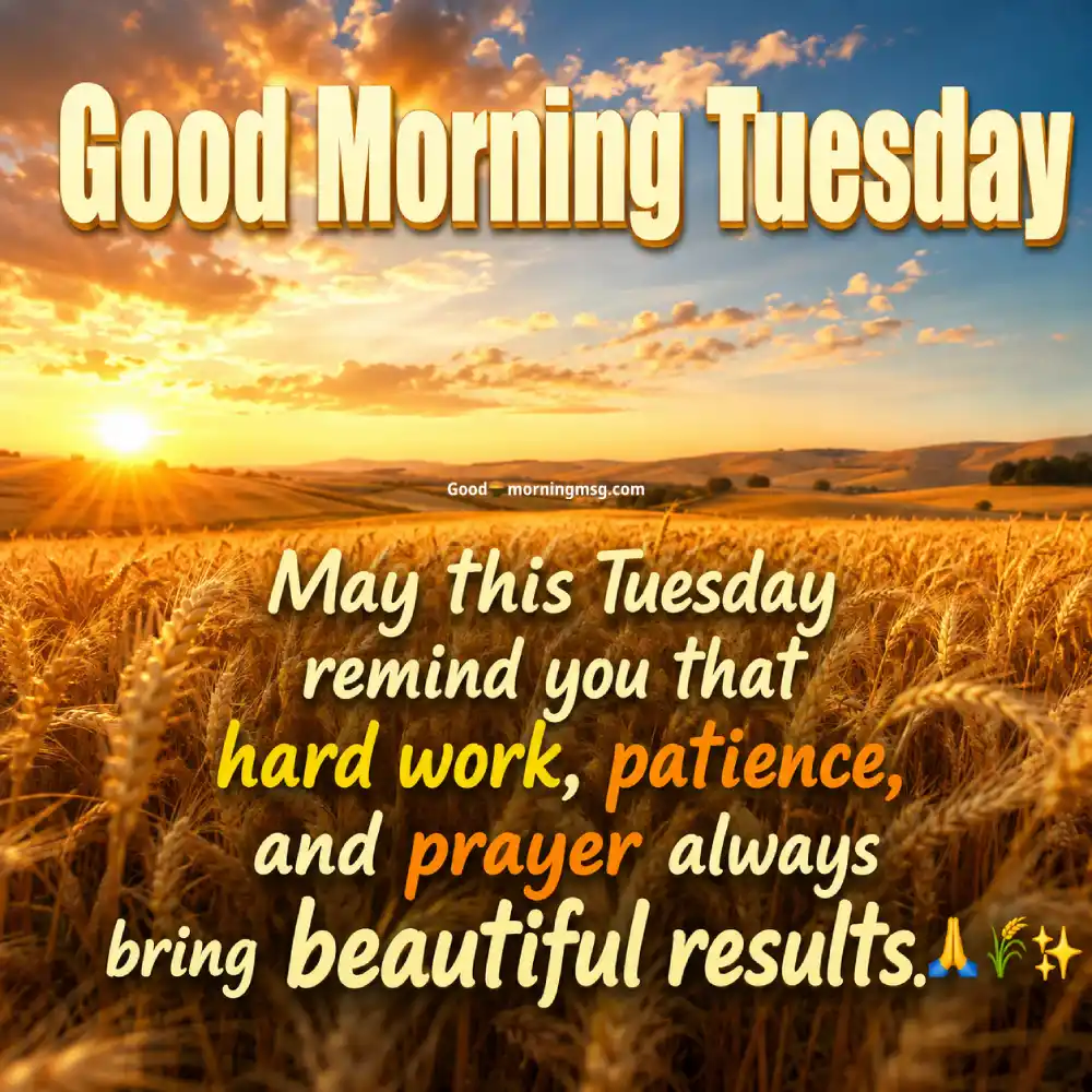 Good Morning Quotes On Tuesday