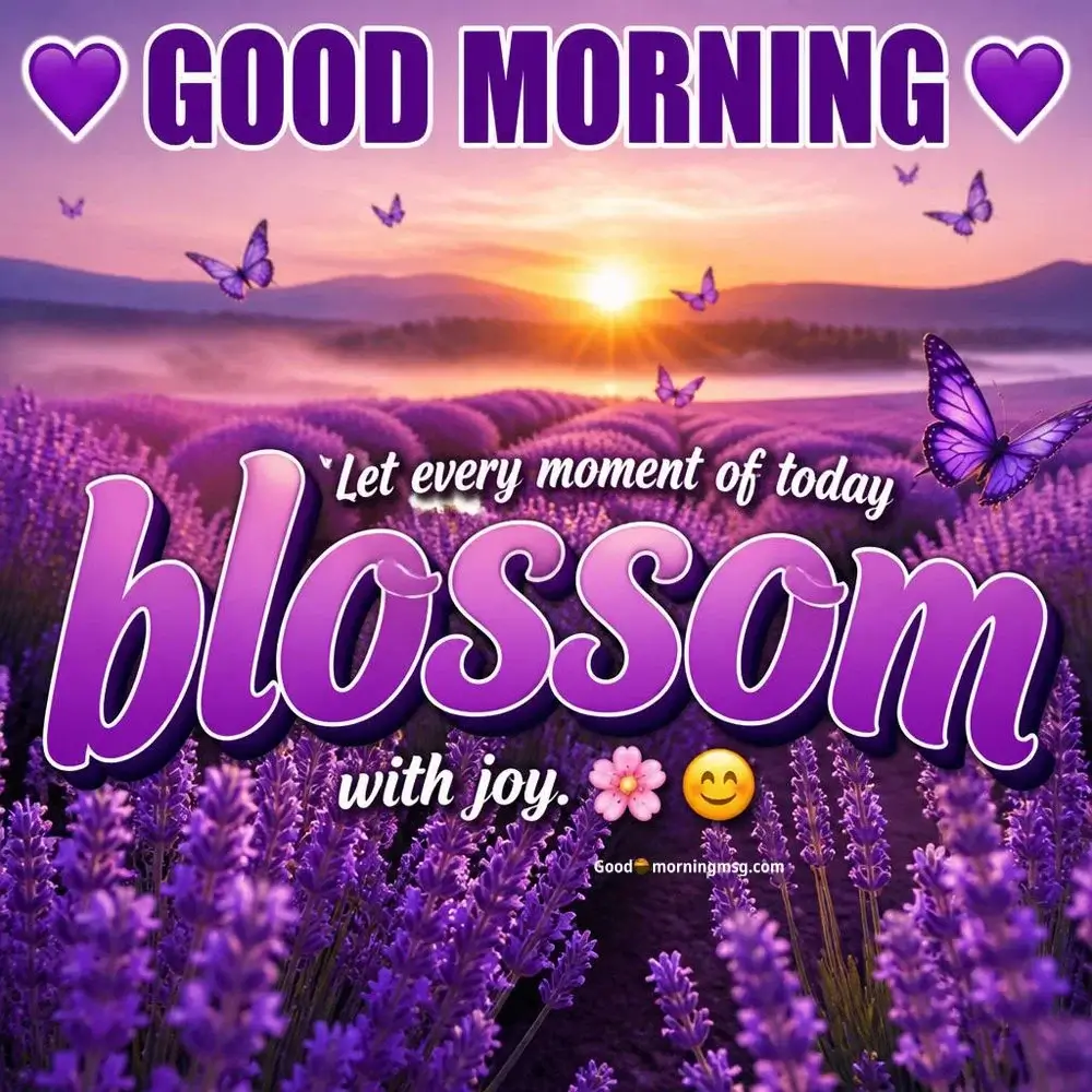 High Quality Good Morning Flowers With Messages
