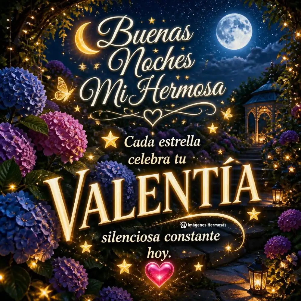 Feliz Noche