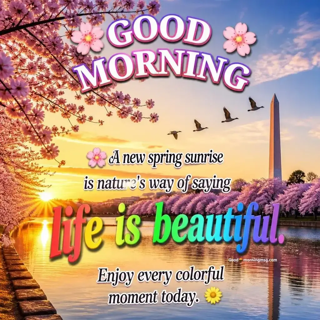 20 Beautiful Spring Good Morning Images To Brighten Your Day