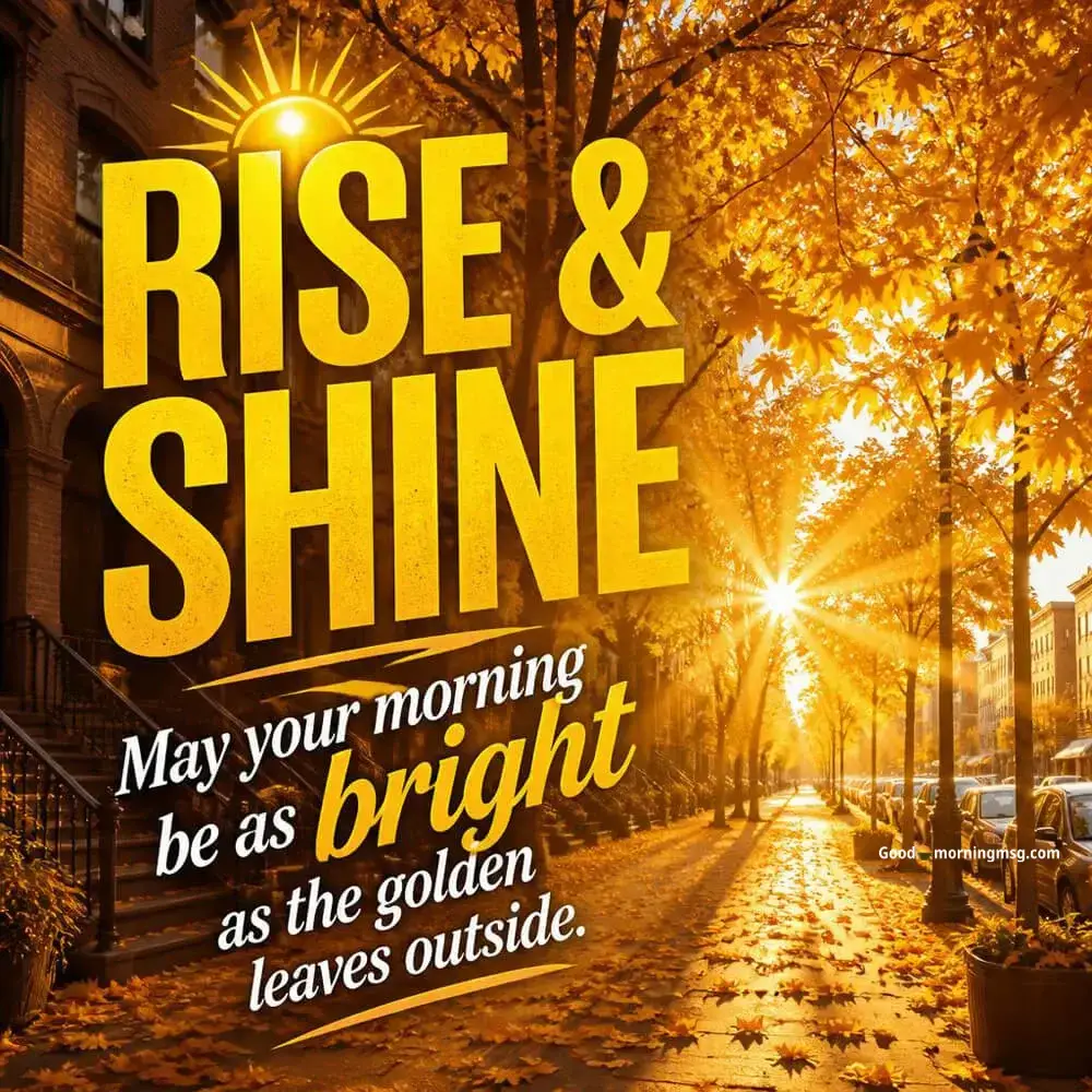 Beautiful Good Morning Images
