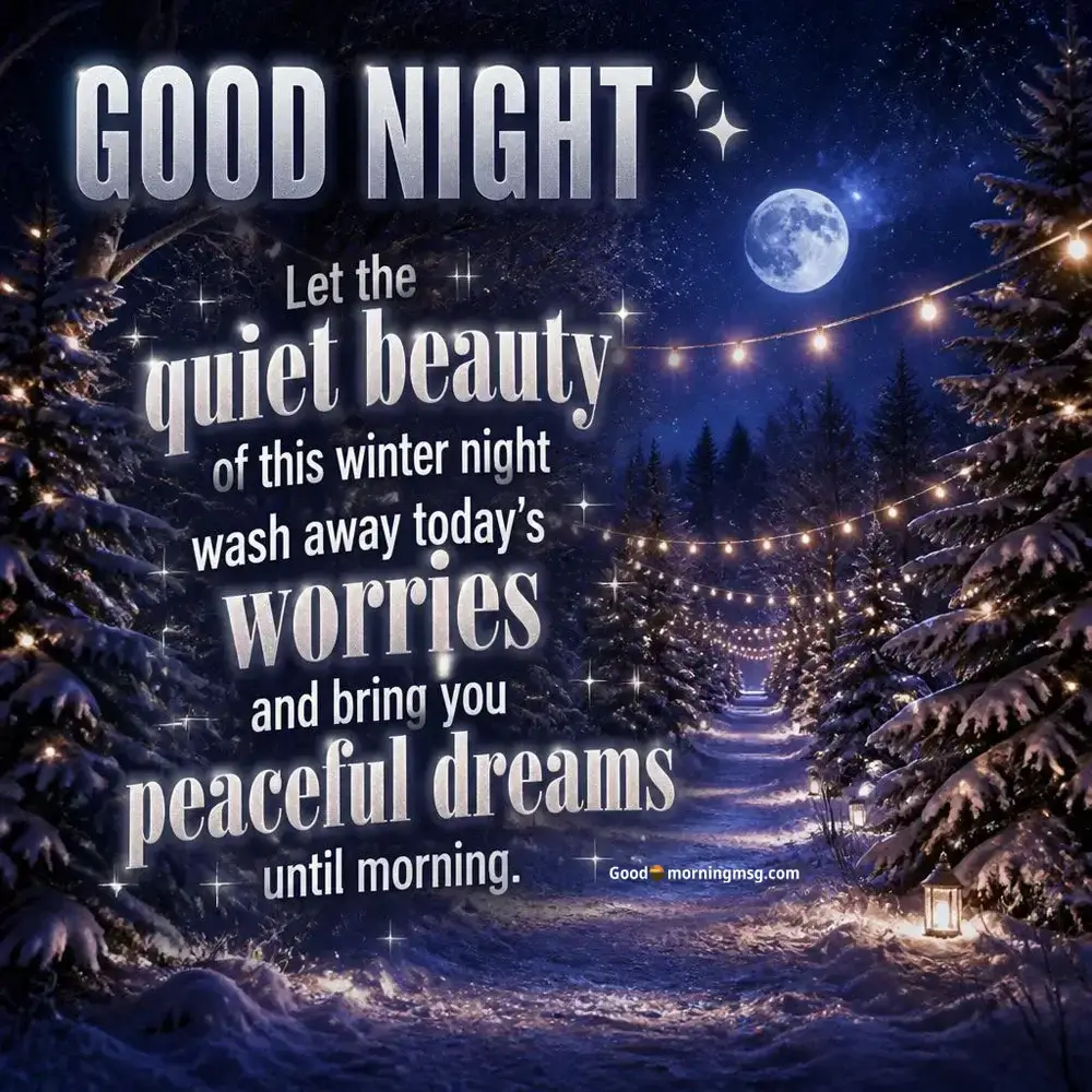 Beautiful Winter Good Night Images